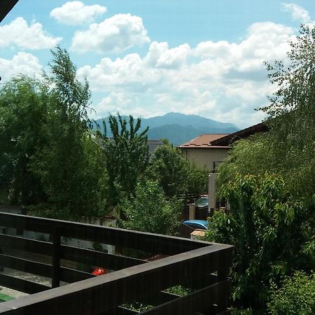 Appartement Casa Aryan à Sînpetru Extérieur photo