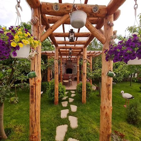 Appartement Casa Aryan à Sînpetru Extérieur photo