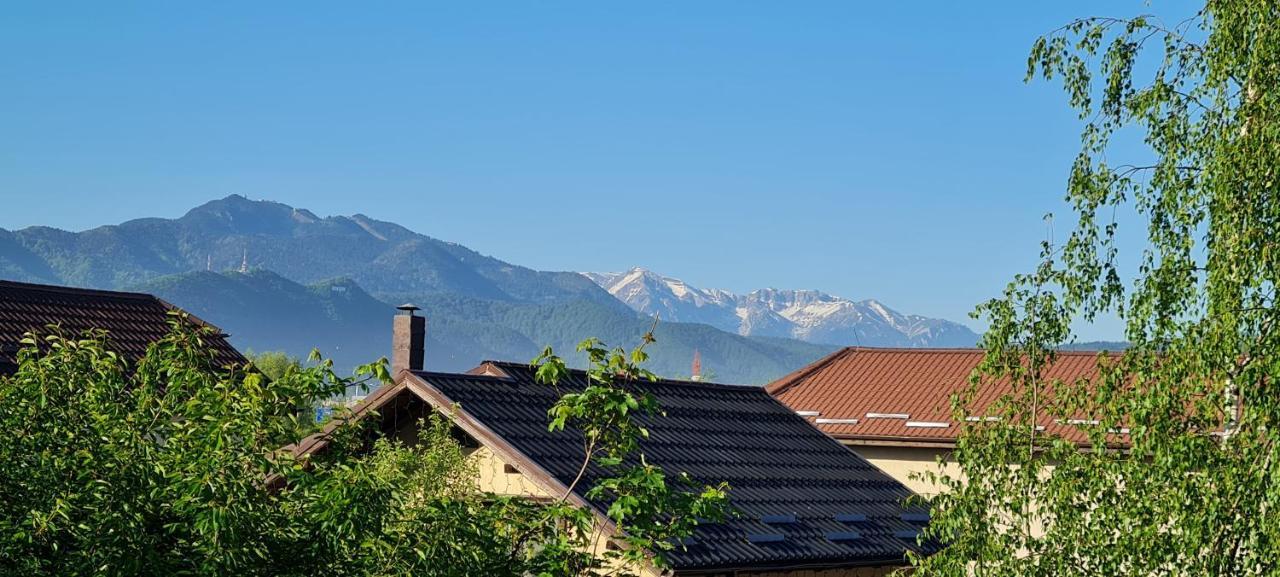 Appartement Casa Aryan à Sînpetru Extérieur photo