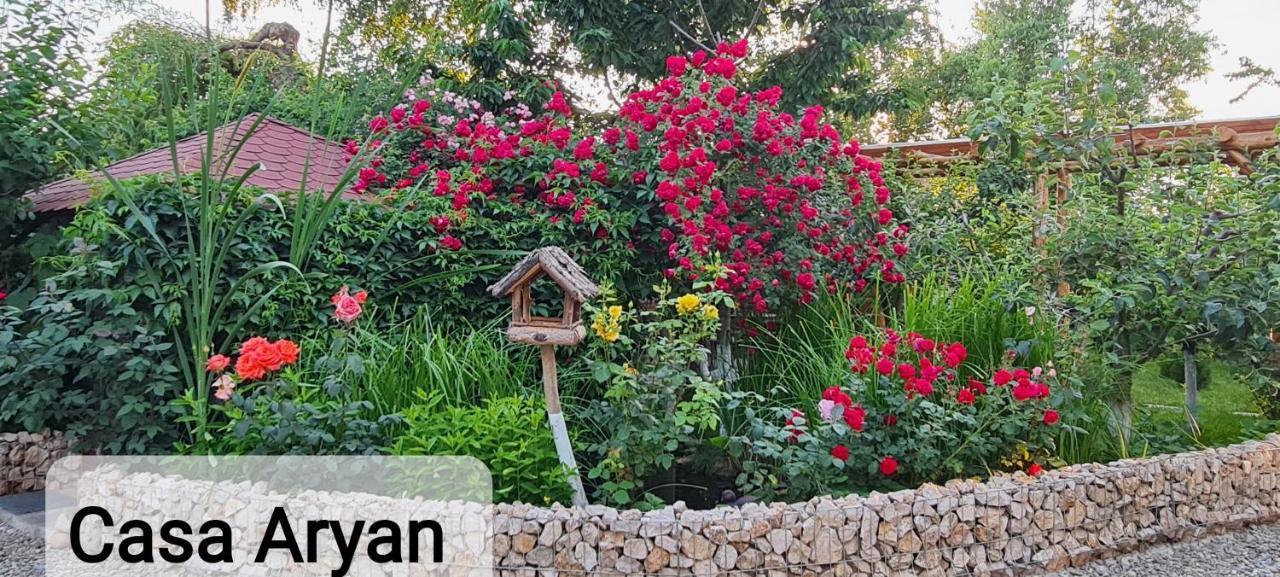 Appartement Casa Aryan à Sînpetru Extérieur photo