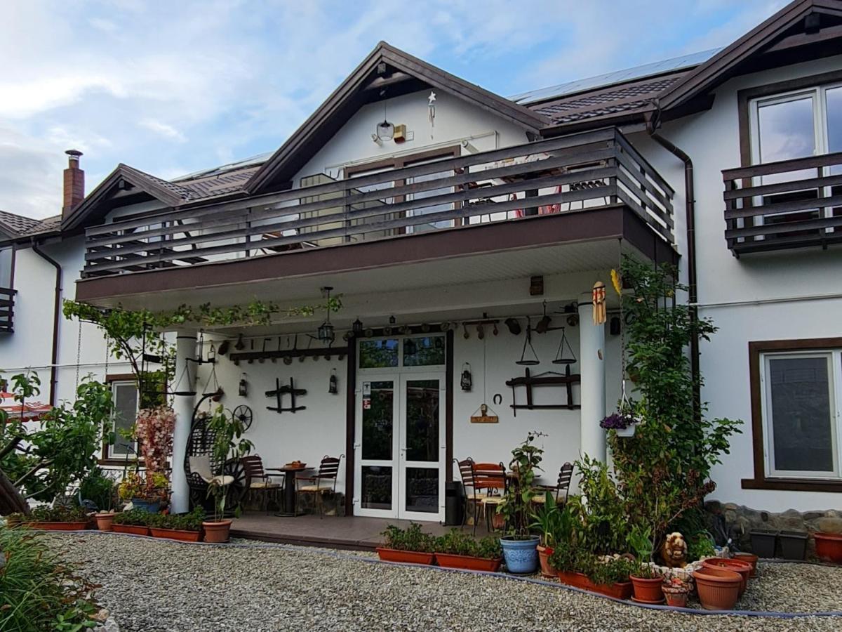 Appartement Casa Aryan à Sînpetru Extérieur photo