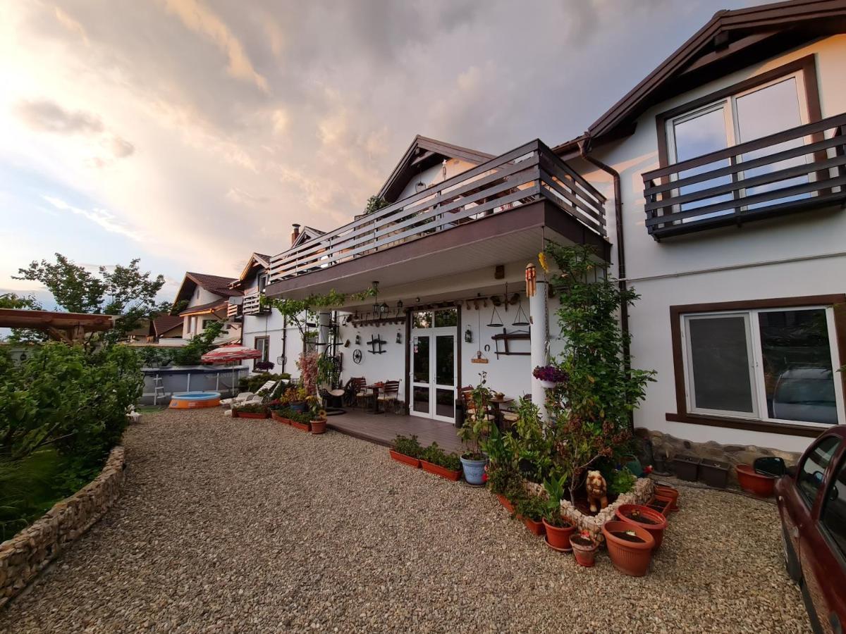 Appartement Casa Aryan à Sînpetru Extérieur photo