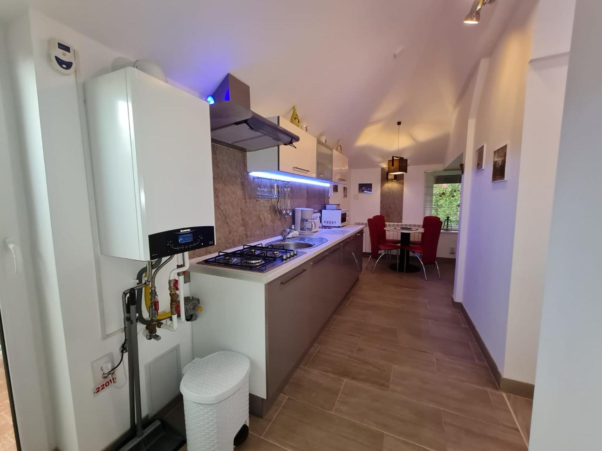 Appartement Casa Aryan à Sînpetru Extérieur photo